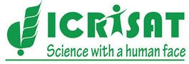 Icrisat Logo